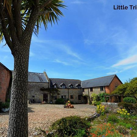 Trill Cottage Musbury Exterior foto