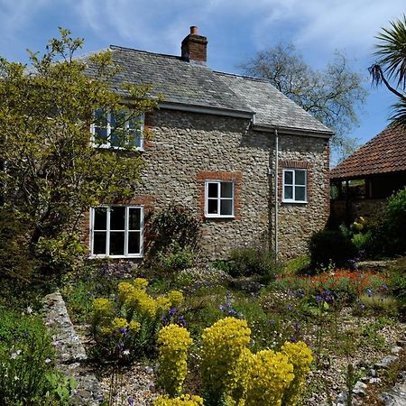 Trill Cottage Musbury Exterior foto