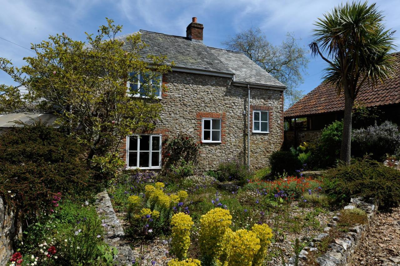 Trill Cottage Musbury Exterior foto